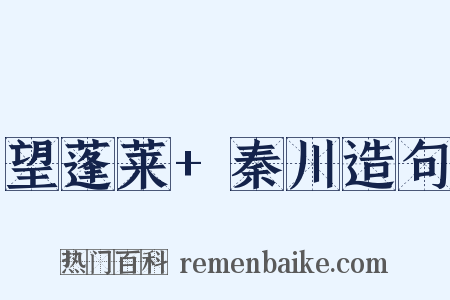 望蓬莱+秦川造句是什么意思的图片